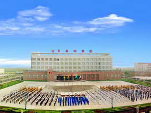 山東鳳祥集團(tuán)